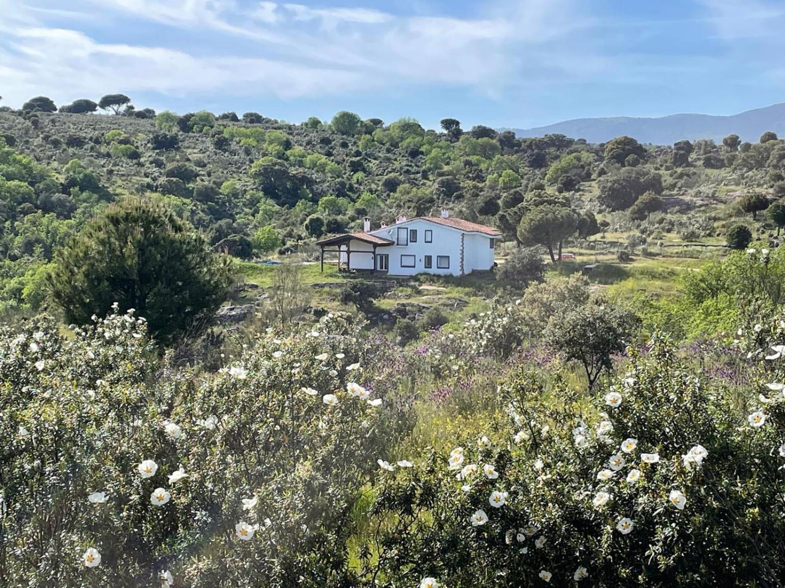 Finca Altair Madrid Ngoại thất bức ảnh
